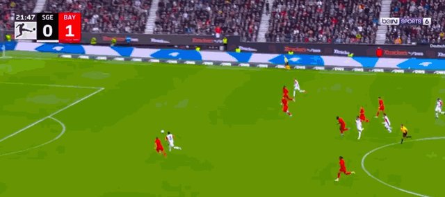 1-1马尔穆什.gif