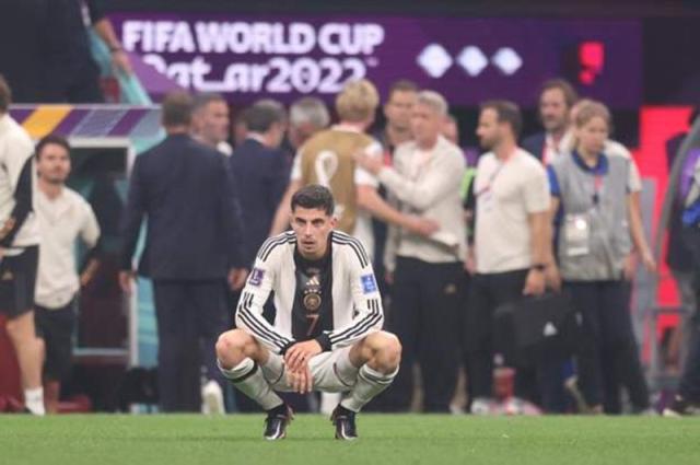 1669929707293015061.jpg ac499827-8e99-4081-8edd-7e218c47.jpg